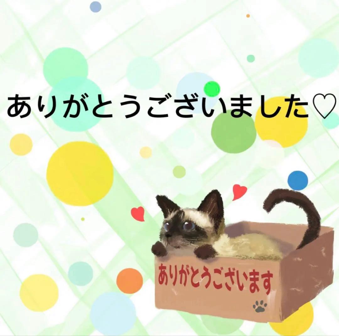 【9612】海外5m巻　PETカッティングマスキングテープ　半透明サイクル装飾系