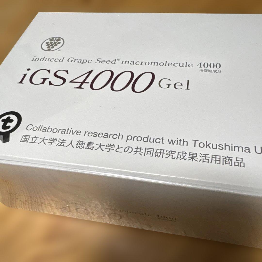 iGS4000 Gel 3g ×60包