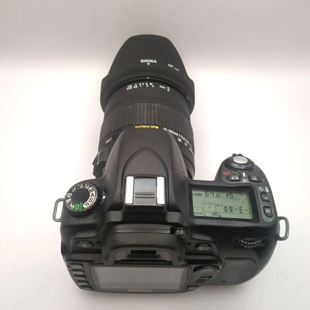 フ*ウ様 Nikon D80 シグマ18-125mmレンズ付き 動作確認済 CC