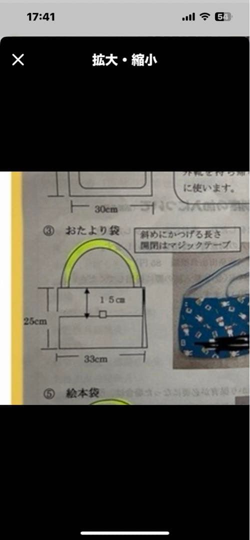 ローズヒップ様