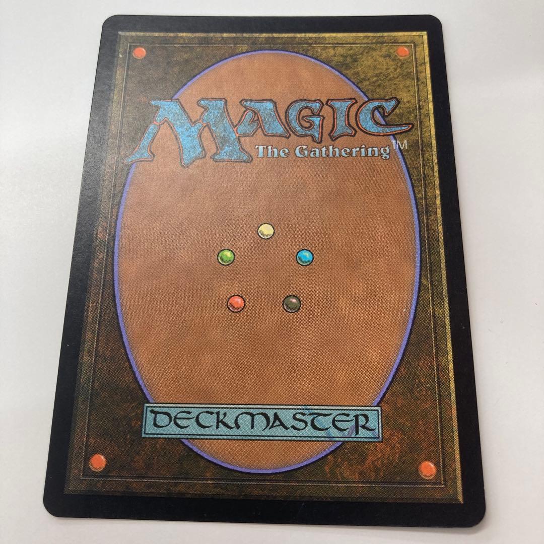 Mtg セファリッドの円形闘技場 中国語 foil