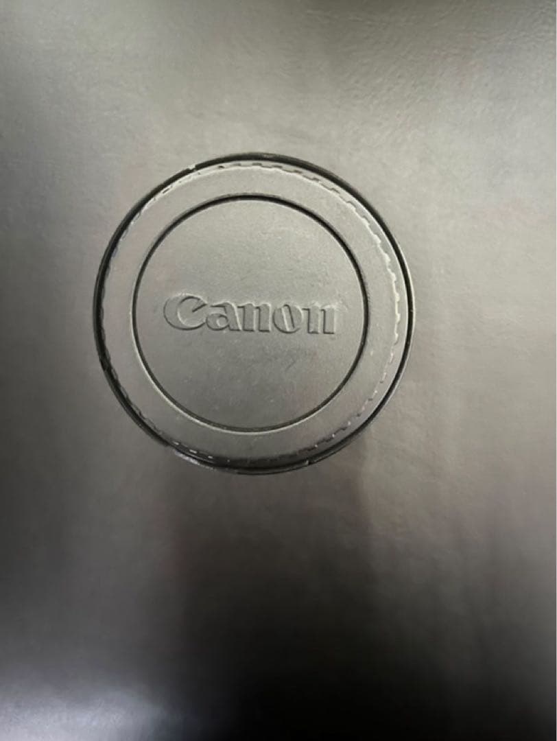 Canon EF 17-40mm f/4L USM ズームレンズ