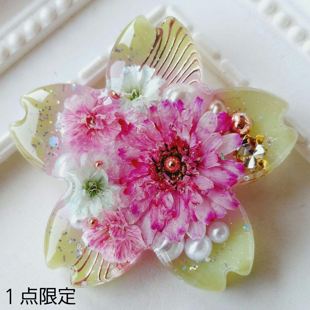 【1749】レジン　マトリカリア　ヘアゴム　ポニーフック　ブロ―チ　ハンドメイド