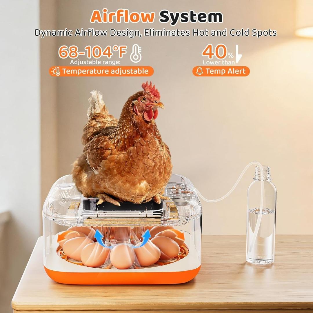 【アマゾン１位・定価９３００円・１２個・温度＆湿度】卵インキュベーター 孵化卵