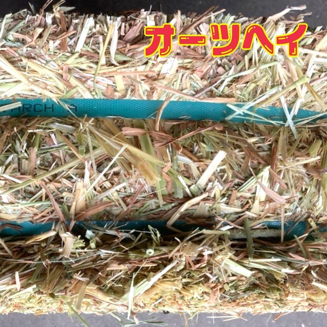 チモシー　スーパープレミアム　19kg ＋ オーツ スーパープレミアム　1kg