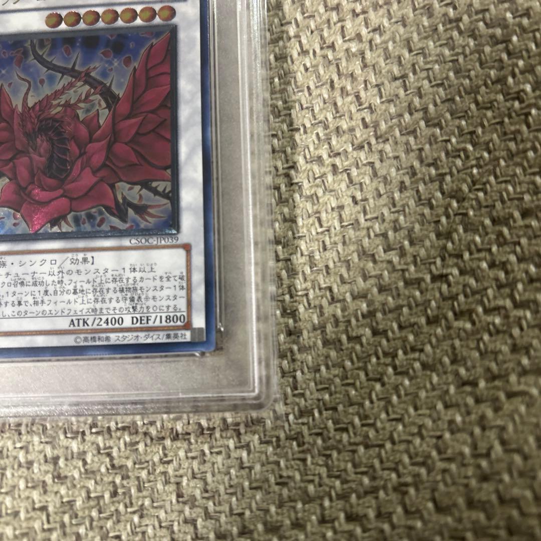 ブラック・ローズ・ドラゴン CSOC-ウルトラレア PSA10