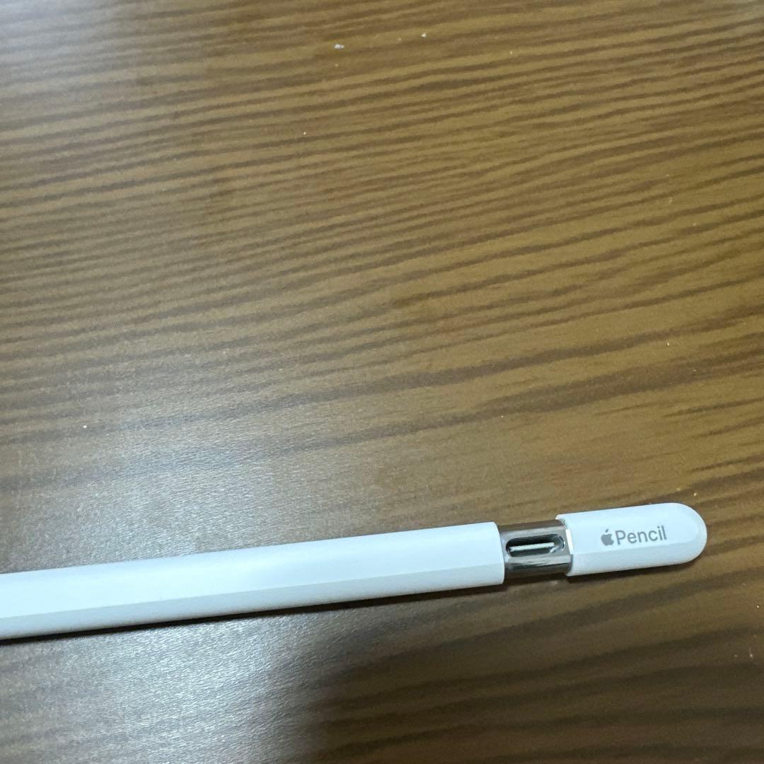 apple pencil (USBーC)本体のみ