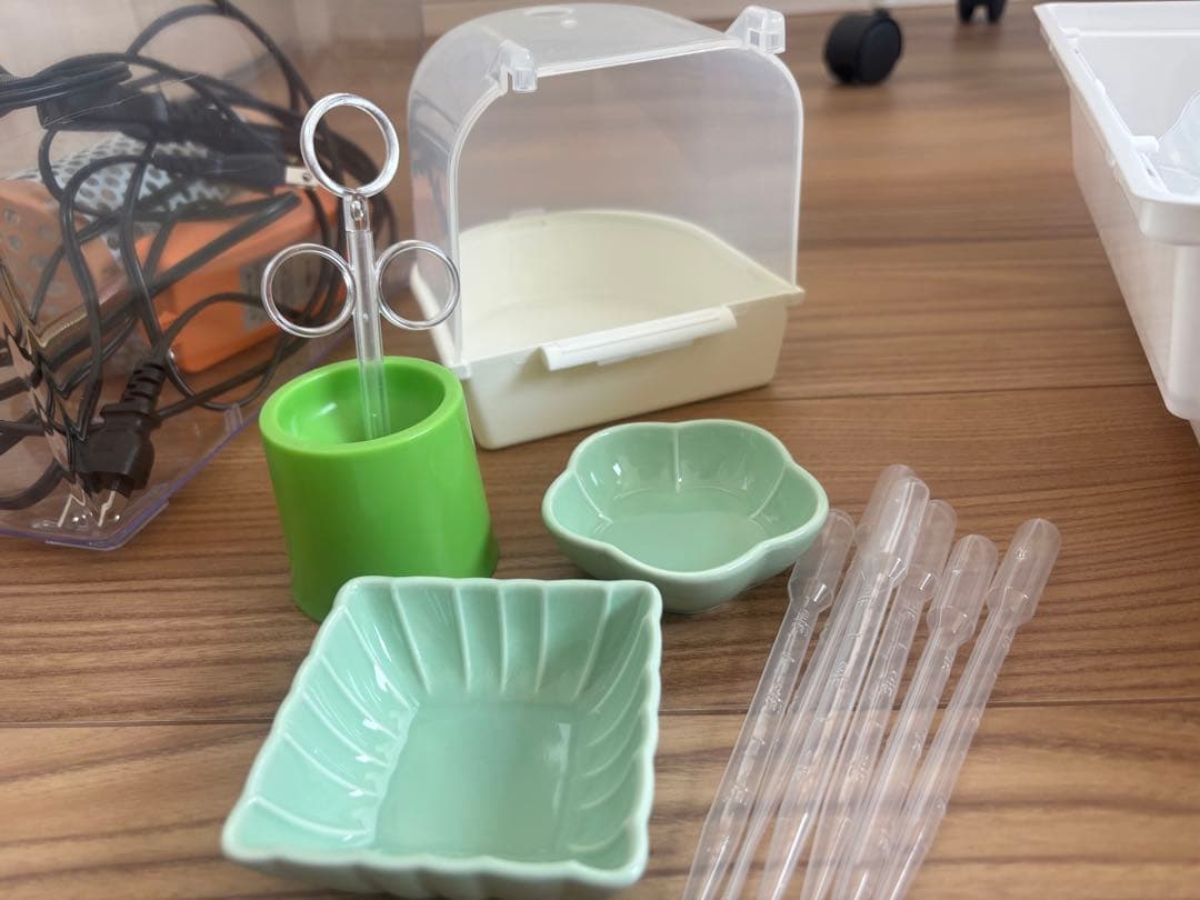 雛からの鳥飼育セット
