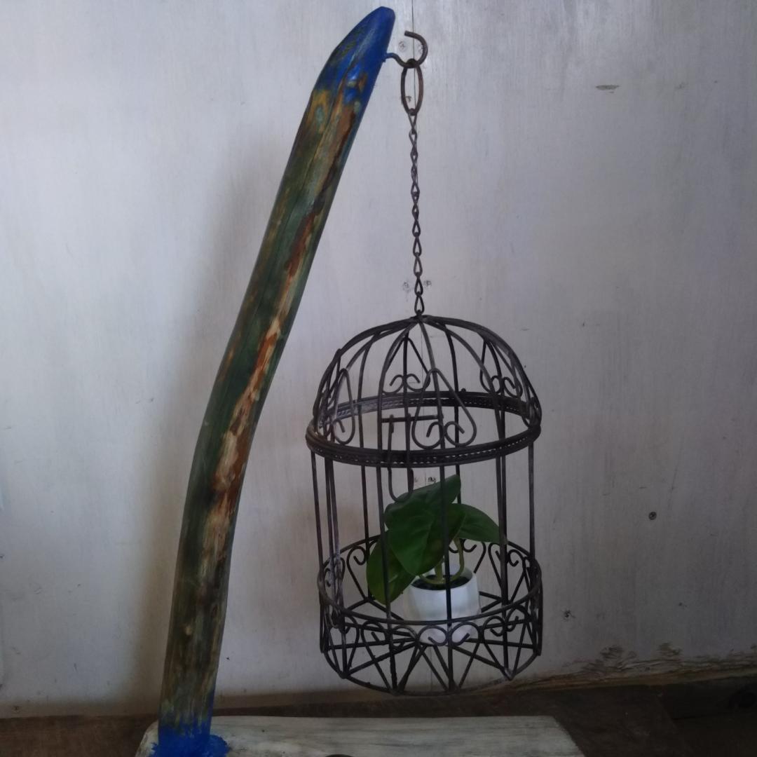 鳥かご　流木　インテリア　錆び　オブジェ　ディスプレイ　置物　植物　一点物