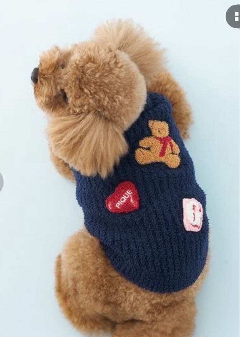 【CAT&DOG】ベビモコベアサガラ刺繍プルオーバー 犬服 ジェラートピケ S