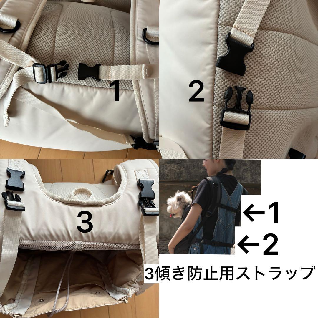 コンフィーラビオリ　テンマイルバッグ
