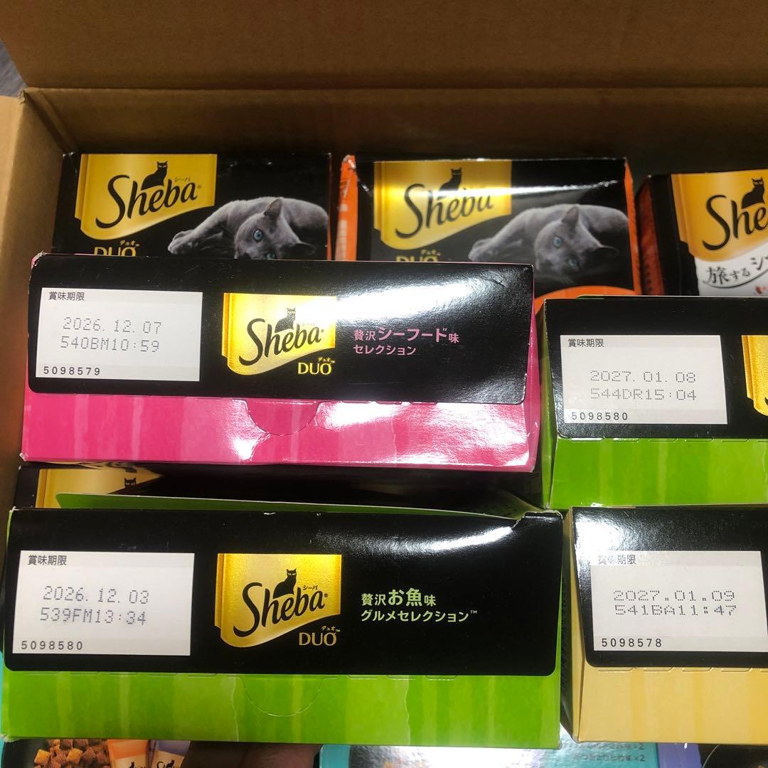 キャットフード　ドライ　シーバDUO 200g×30箱