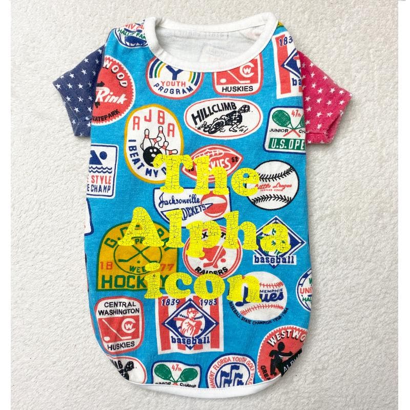 ALPHAICON アルファアイコン ヴィンテージ Tシャツ ① DXM