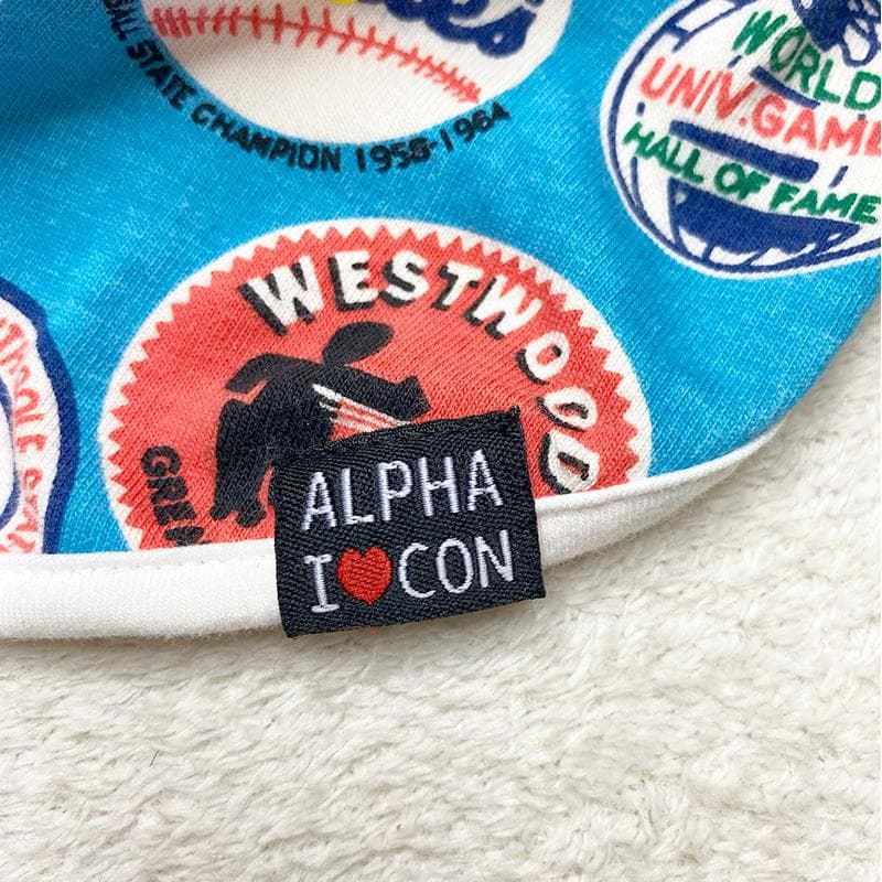ALPHAICON アルファアイコン ヴィンテージ Tシャツ ① DXM