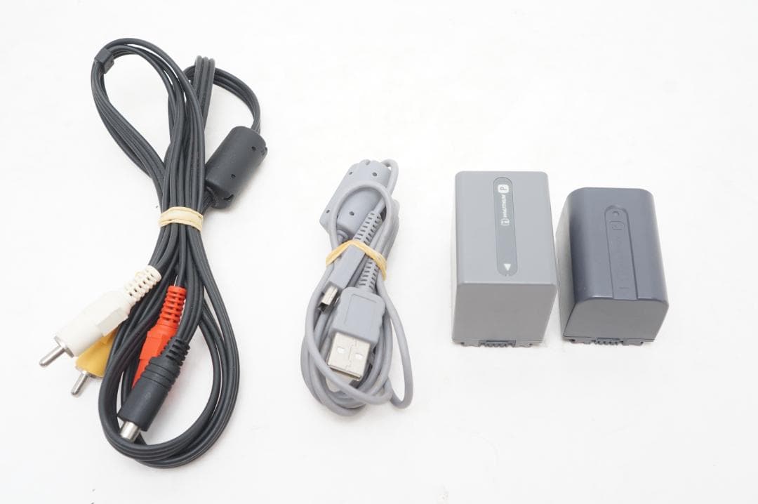 SONY DCR-SR100 デジタルビデオカメラ