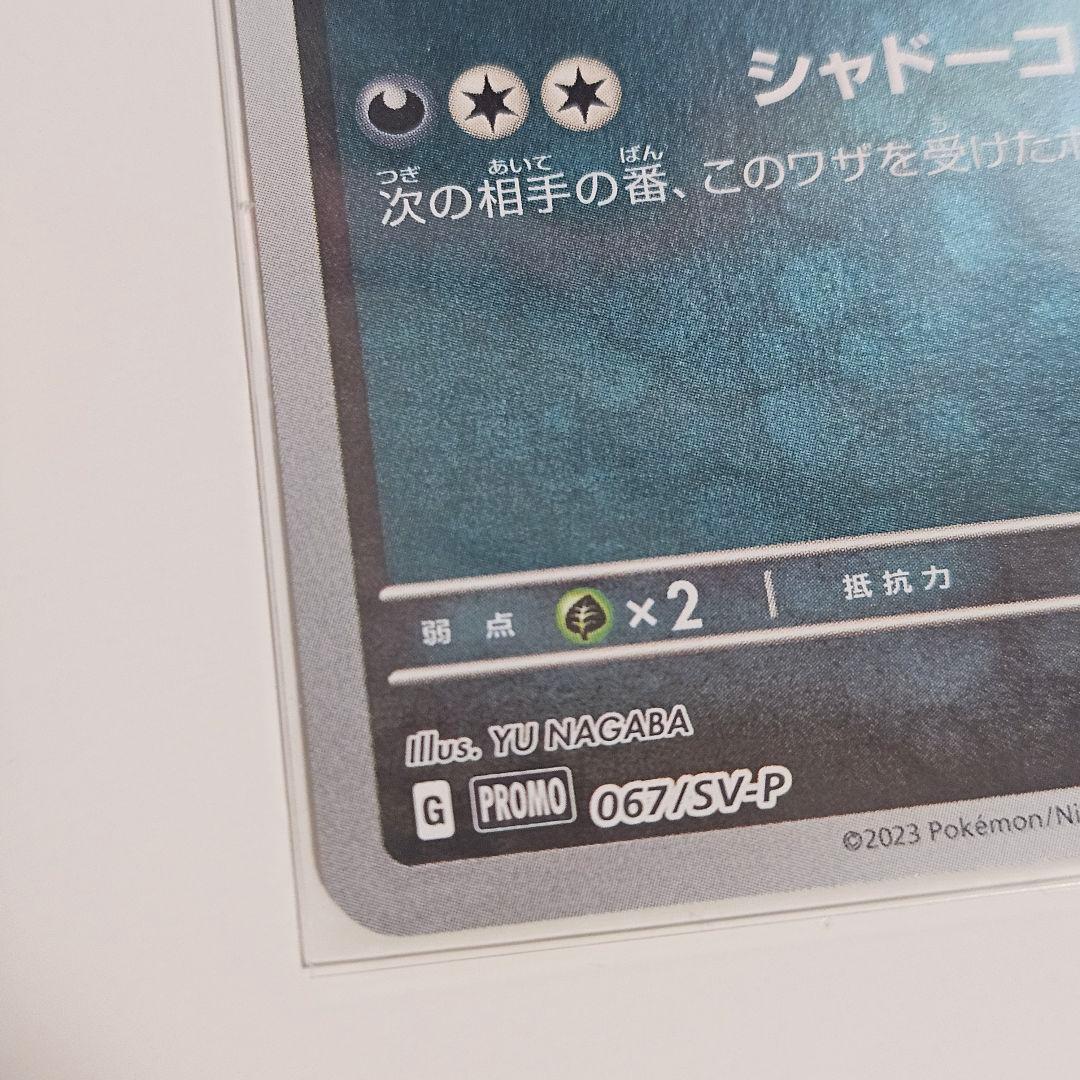 【美品】ポケモンカード ブラッキー プロモ 長場 Yu nagaba