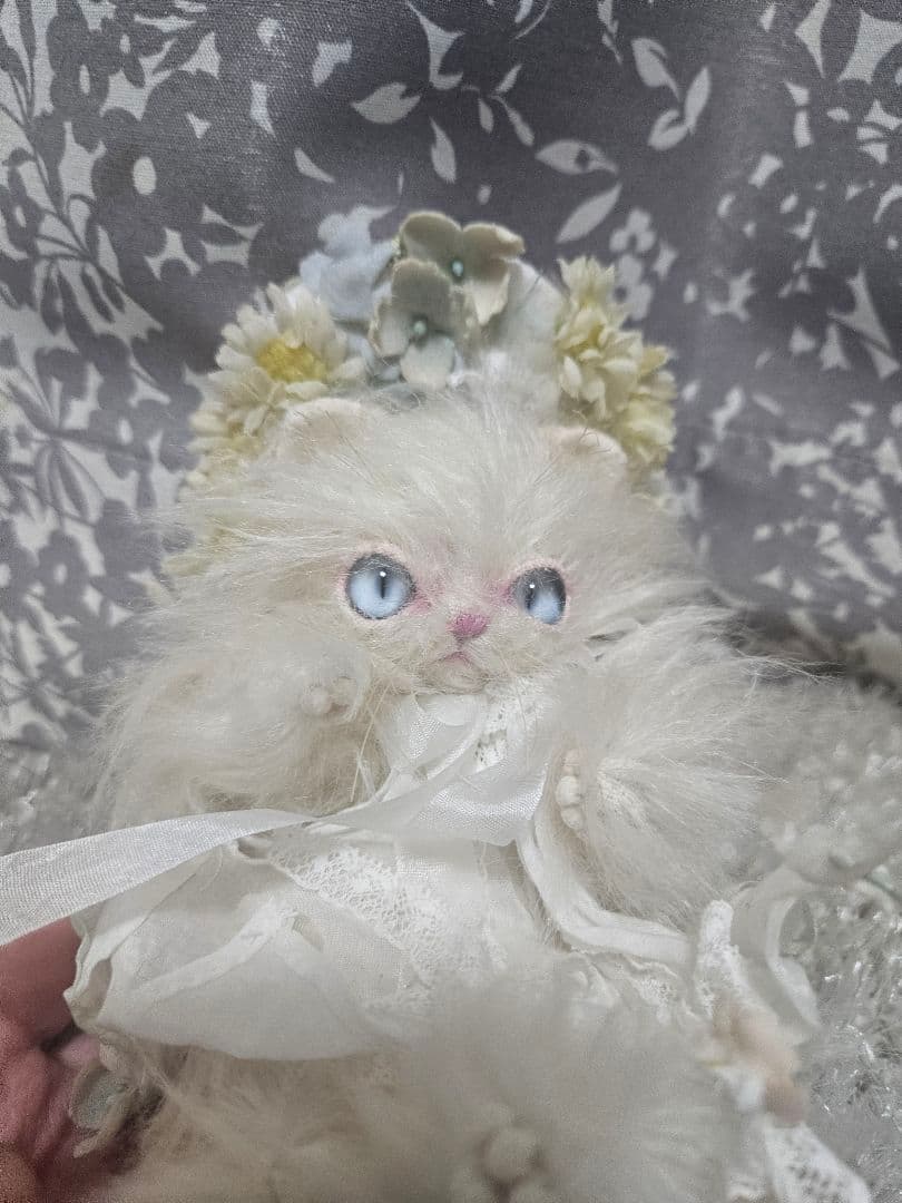 国内作家様、白いペルシャ猫、1日まで