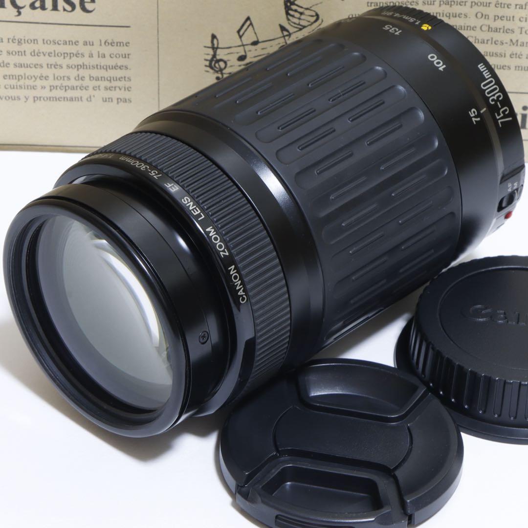 ◇ みとさ ◇Canon純正 75-300mm 超望遠レンズ◇