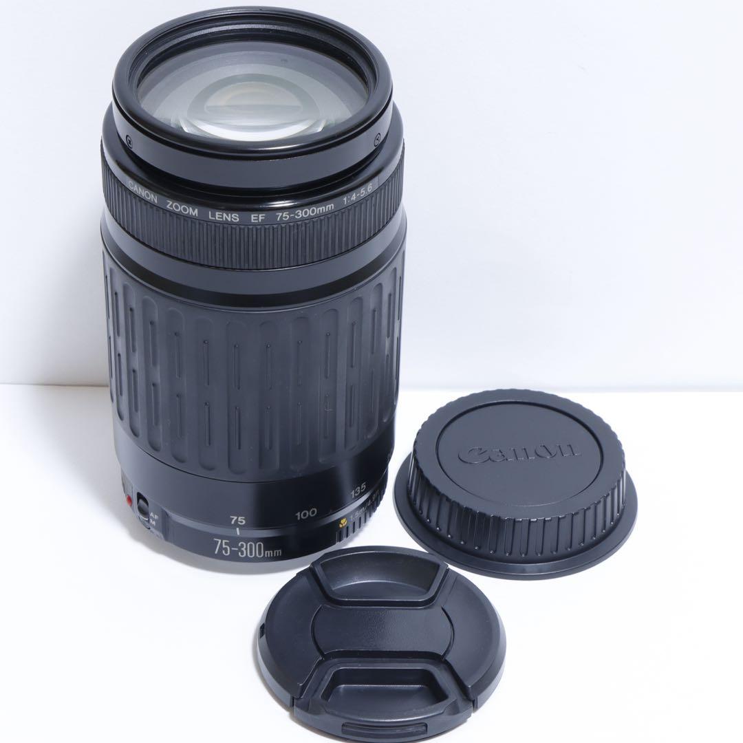 ◇ みとさ ◇Canon純正 75-300mm 超望遠レンズ◇
