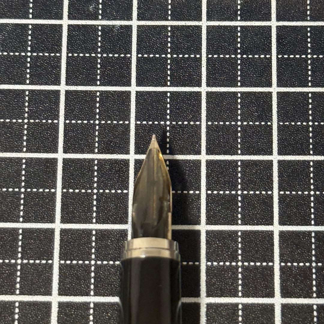 プラチナ 万年筆 リビエール 波と風 スターリングシルバー 18K-WG 細字