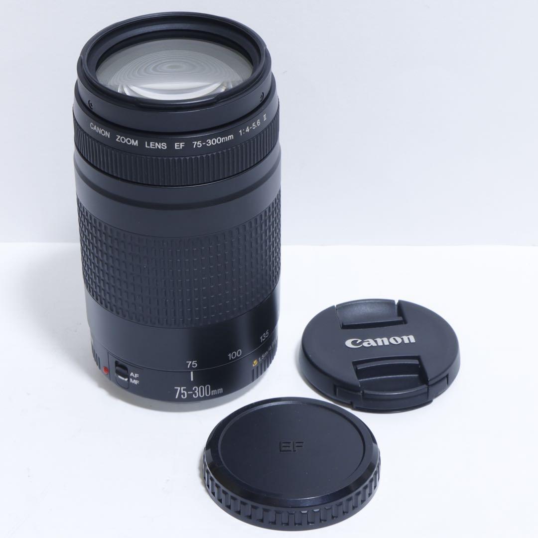 ◇ 大迫力300mm超望遠 ◇Canon純正 75-300mm II型 ◇