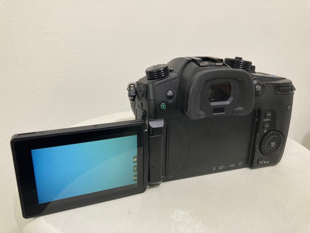 Panasonic LUMIX GH5本体＆標準ズームレンズ（12-60mm）