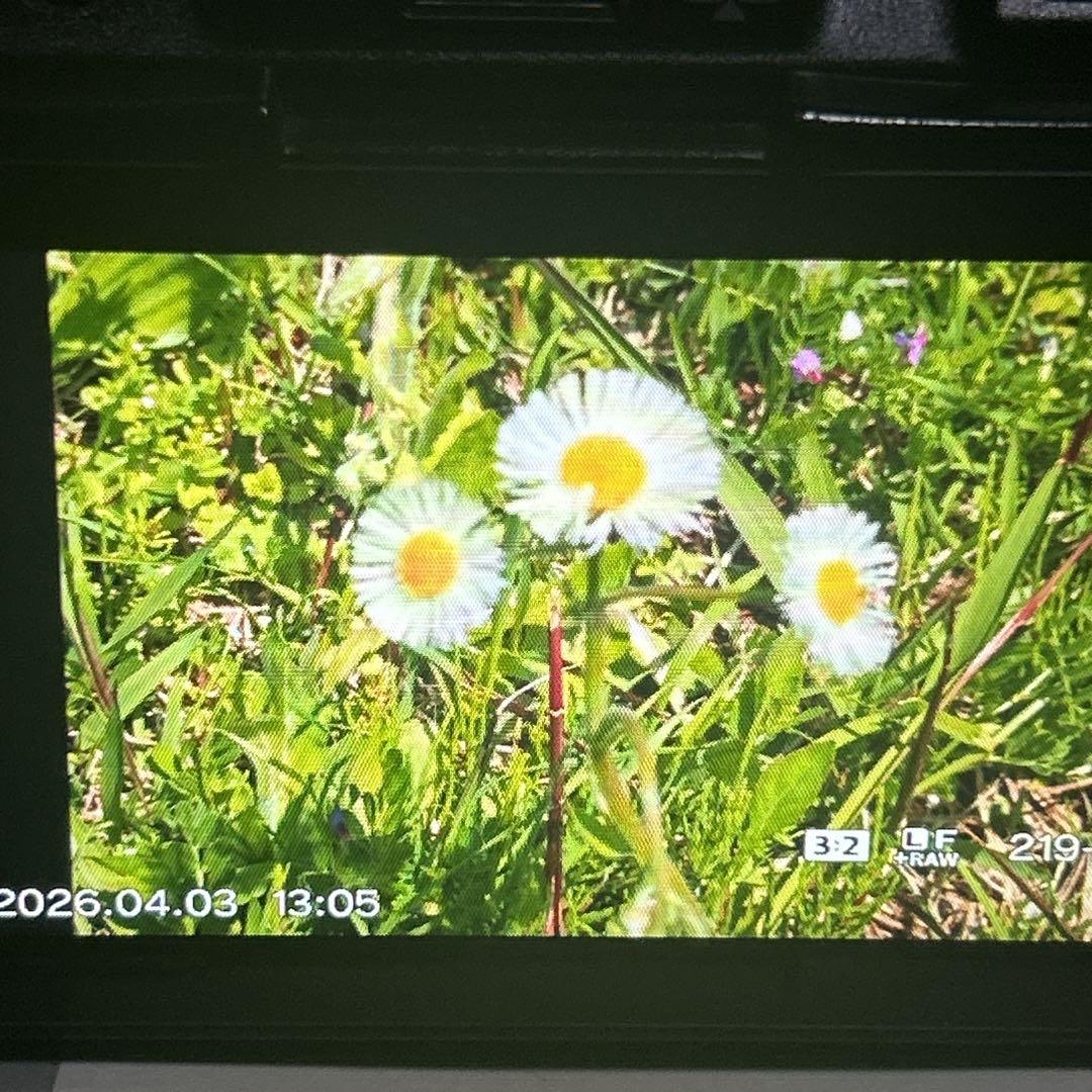 OLYMPUS PEN Lite E-PL5 ズームレンズ付き　訳あり　デジカメ