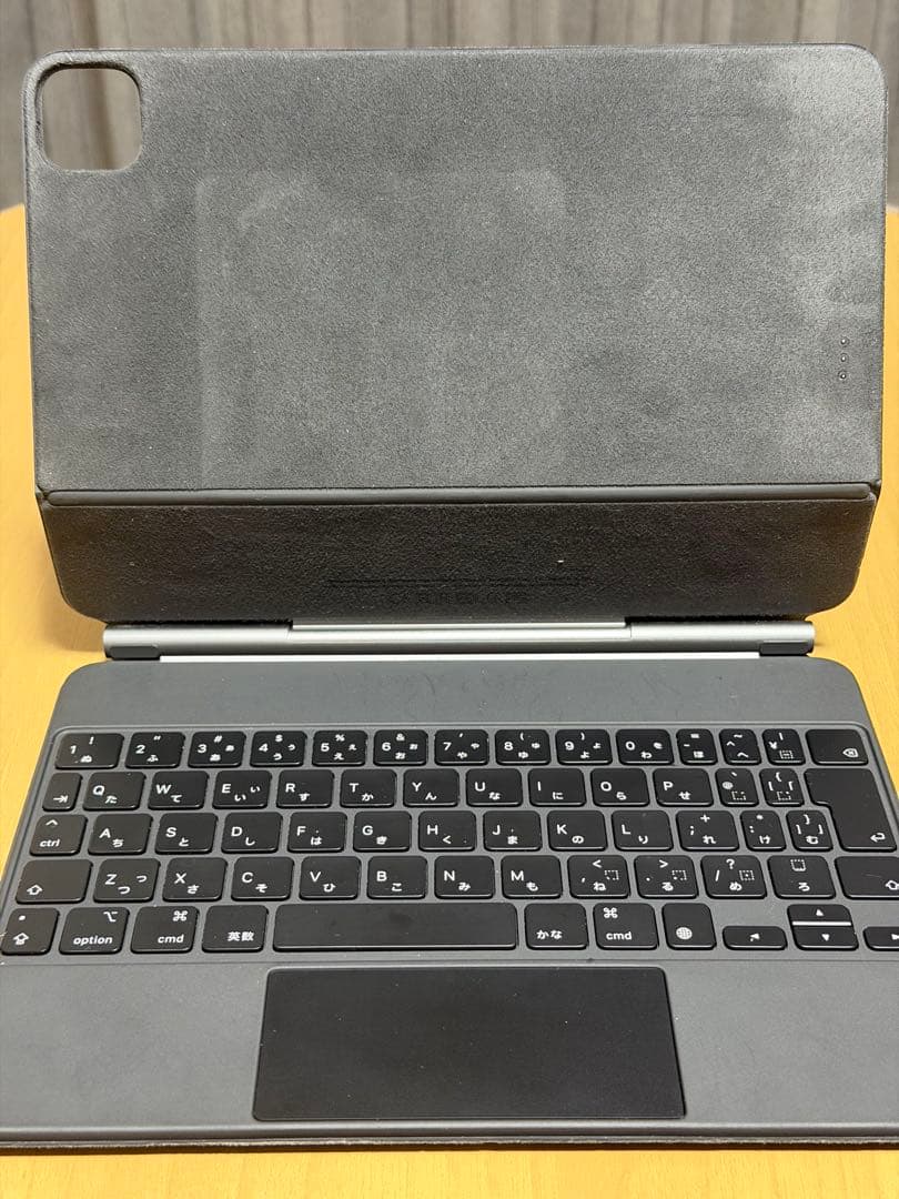 iPad本体 endo far