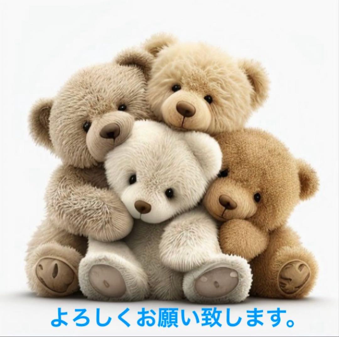 ふみ様の専用ページです。