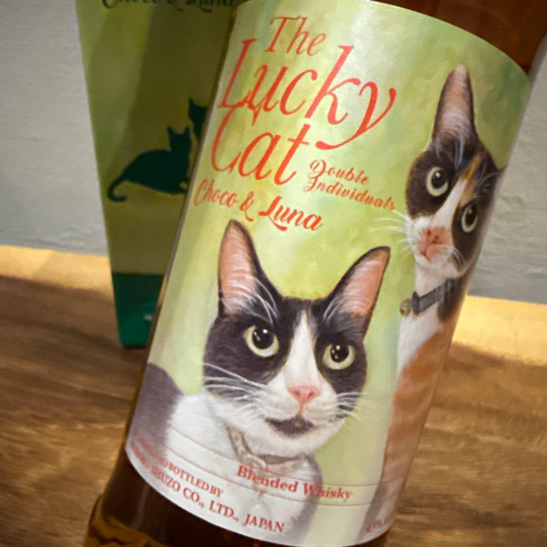 送料込み‼️ザ・ラッキーキャット チョコ&ルナ43%700ml