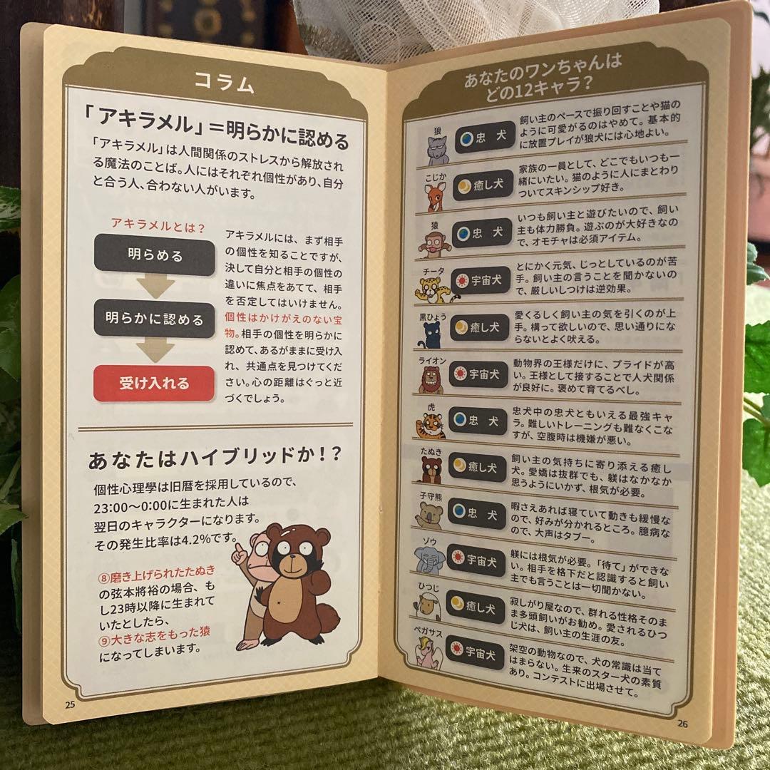 個性心理学❣️2026年手帳【3冊まとめ】お得✨