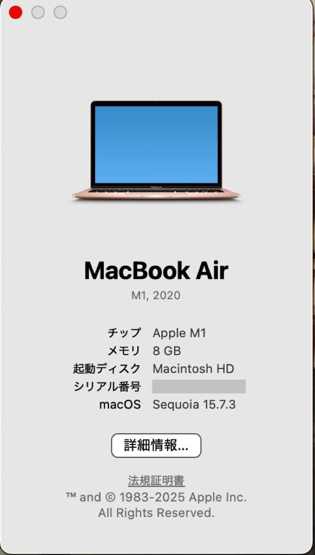 【美品・バッテリー93%】 MacBook Air M1 8GB 256GB