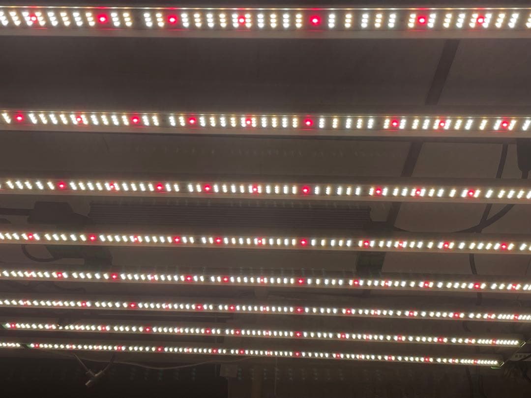 【クリス様】MARS HYDRO FC-8000植物育成グロウライト