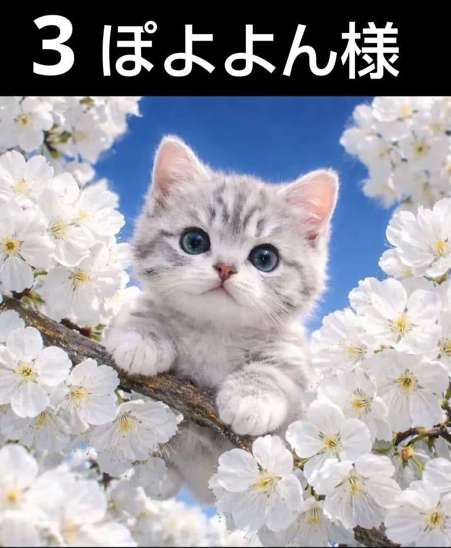 オーダーページ　ハンカチ5089 お花　仔猫柄　ハンドメイド3/22