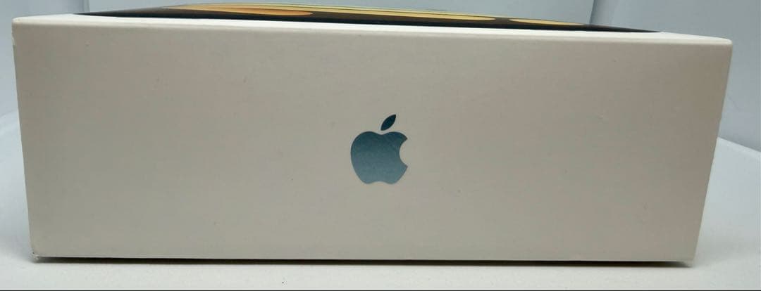 【極美品】iPad mini (A17 Pro) 512GB ブルー