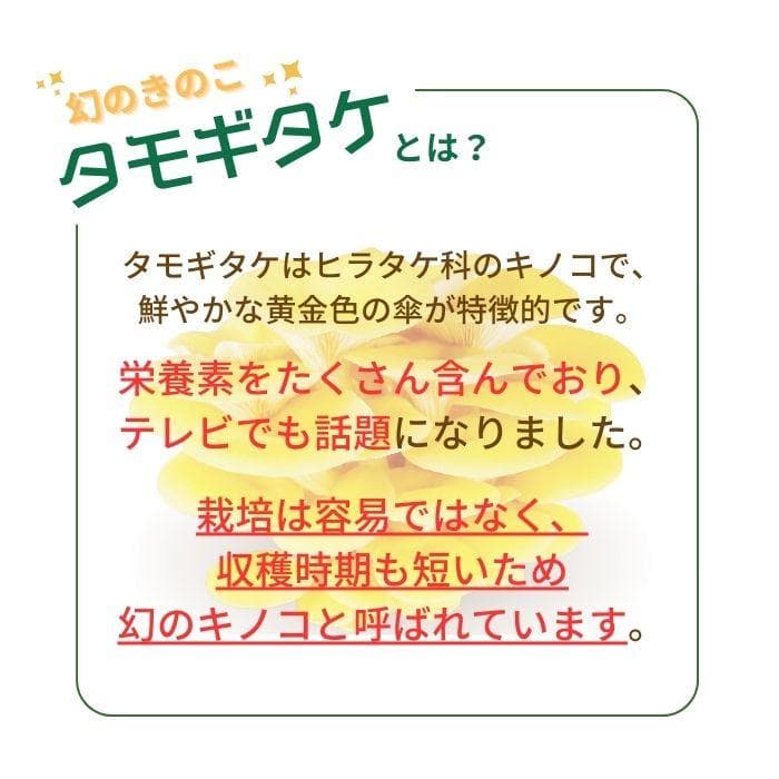 【お得な５袋！】無農薬/国産タモギタケ粉末パウダー(天然エルゴチオネイン含有)