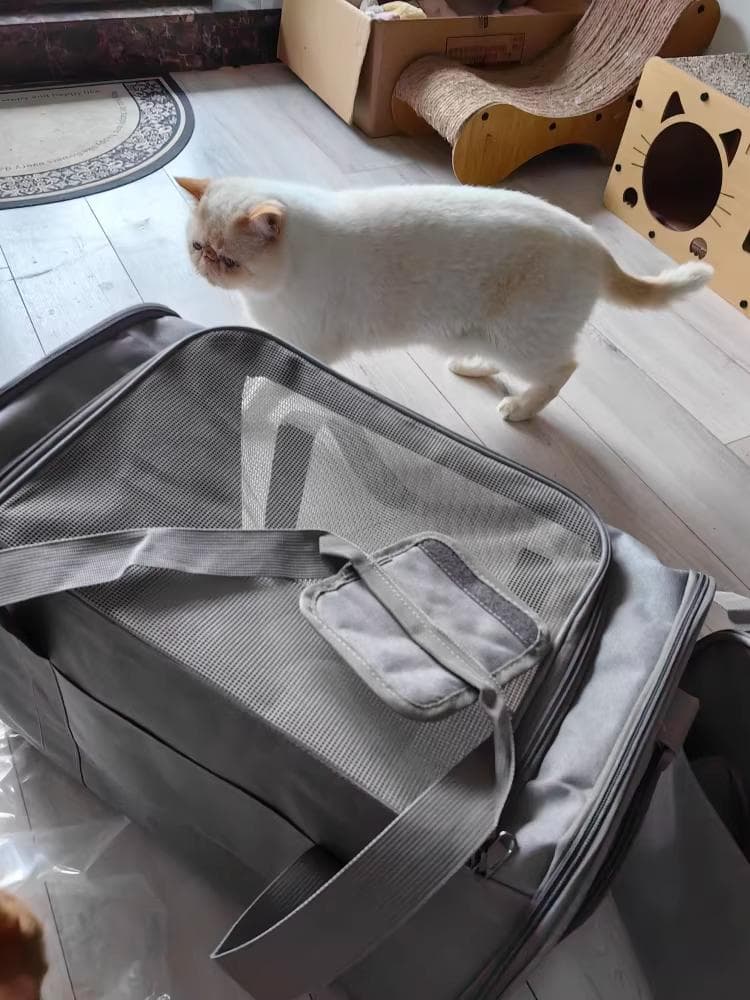 【通気性抜群】ペットキャリーバッグ 犬猫兼用 軽量 お出かけ 旅行