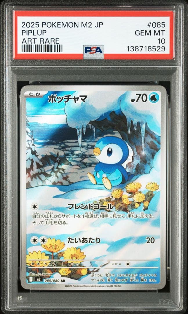 【PSA10連番】ポッチャマ S-P,ポッチャマ AR