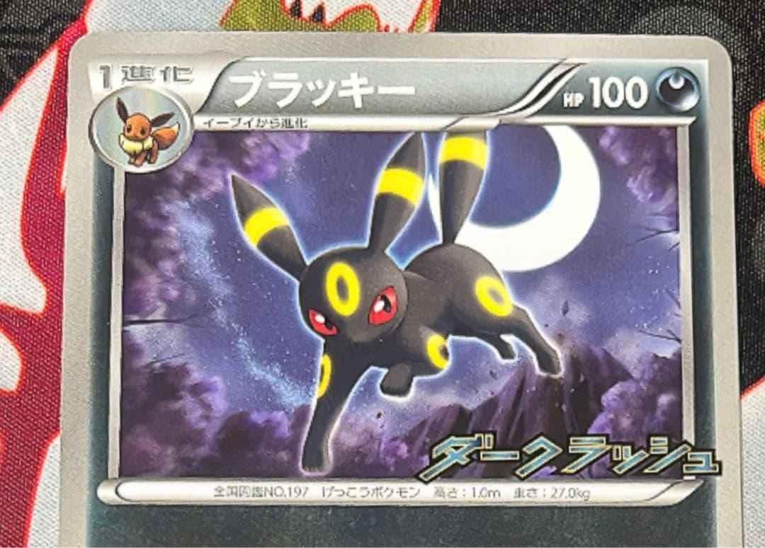 ブラッキー　bw ジムプロモ　ダークラッシュプロモ　まとめ売り