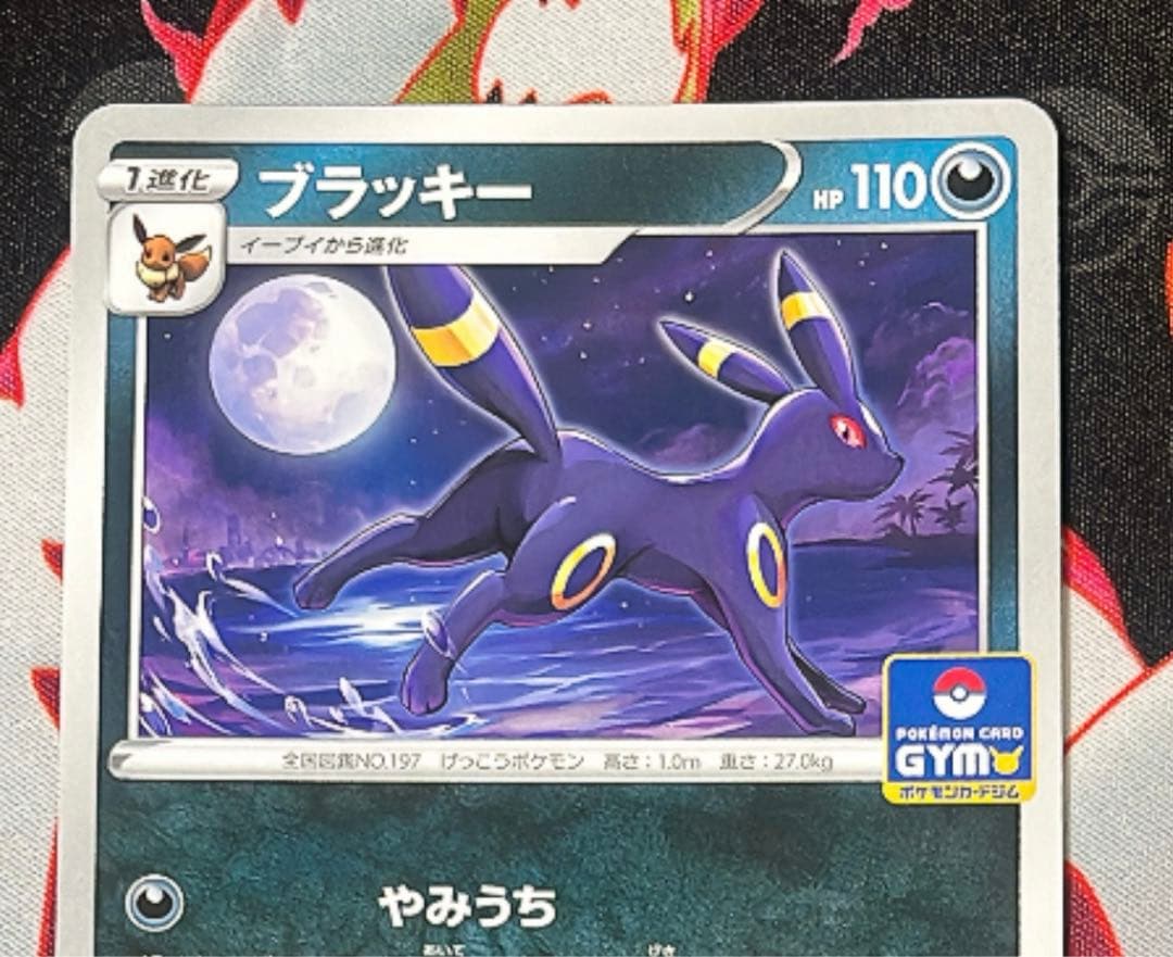 ブラッキー　bw ジムプロモ　ダークラッシュプロモ　まとめ売り