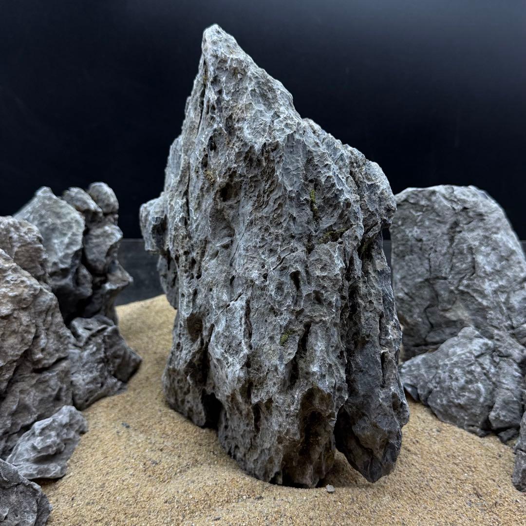 MSS-7264 青龍石10kg セット 龍王石　竜王石　アクアリウム