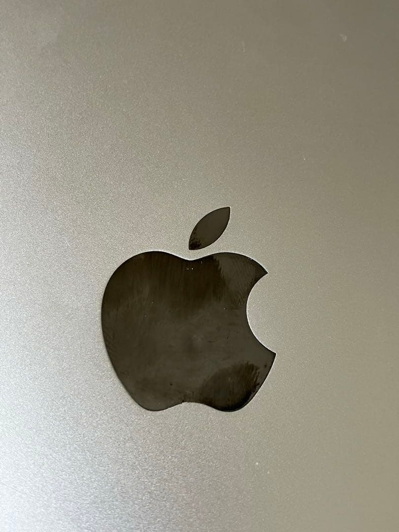 iPad mini4 64GB WiFi グレー 動作確認済 本体のみ