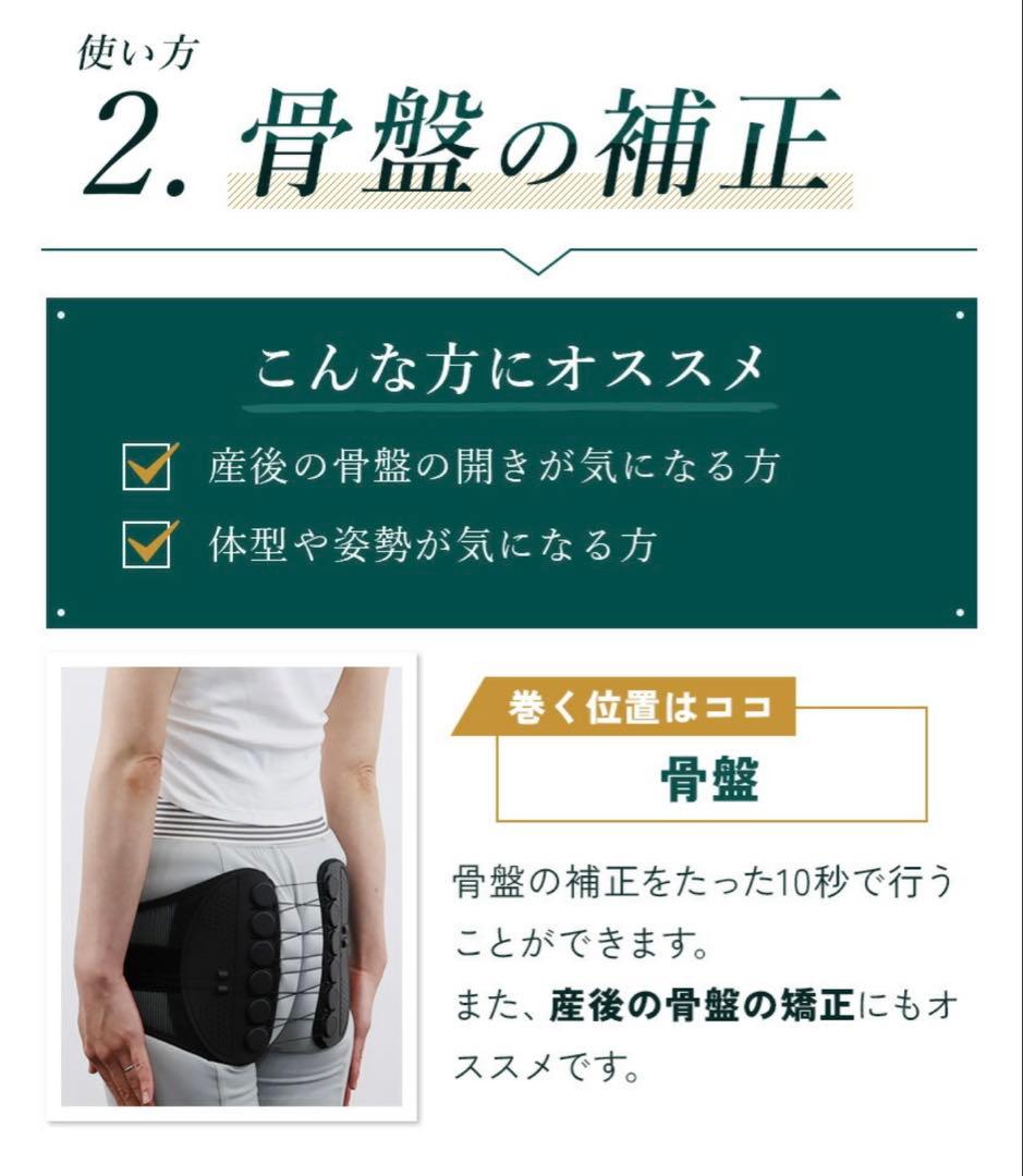 ガードナーベルト　Lサイズ　正規品【新品】