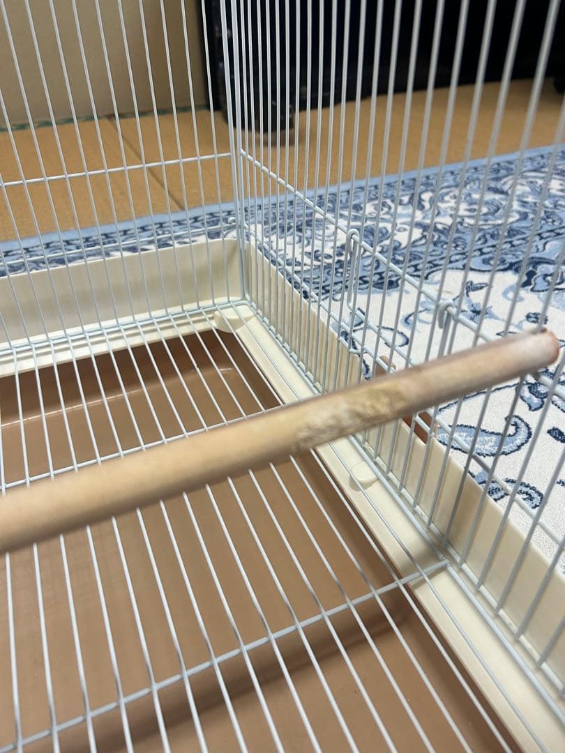 鳥かご　SANKO イージーホームバード　飼育セット　モモンガ　お値下げ多少可