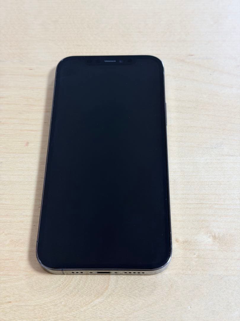 iPhone 12 Pro 256GB グラファイト（消音モデル）