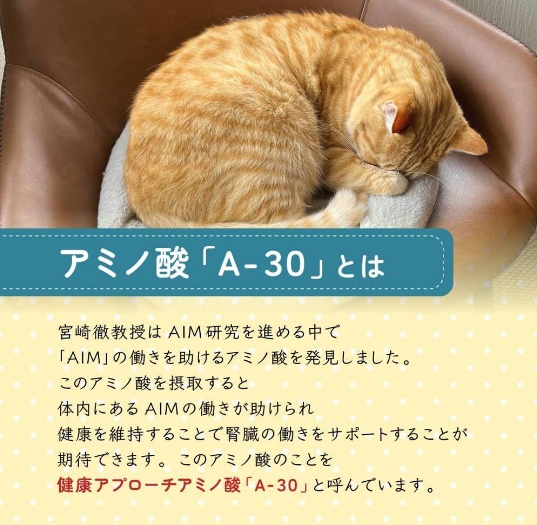 【新品・未開封】AIM30 国産品 3kg×2箱 フィッシュ キャットハウス付