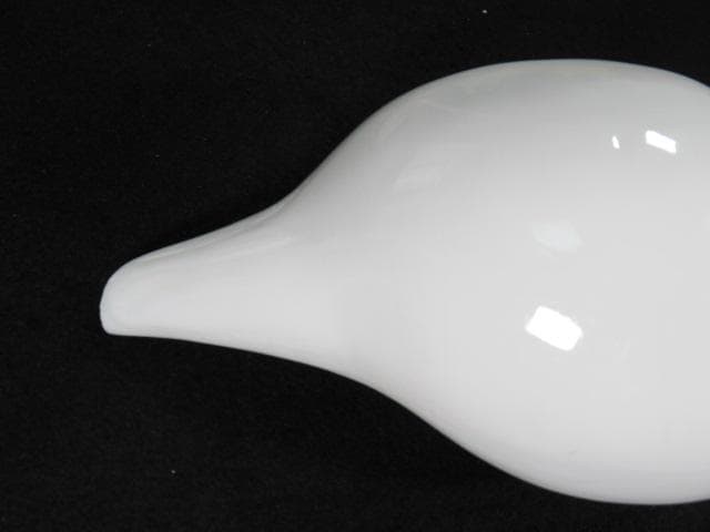 シャンクガイ　法螺貝　18.7cm　インド　No.1628