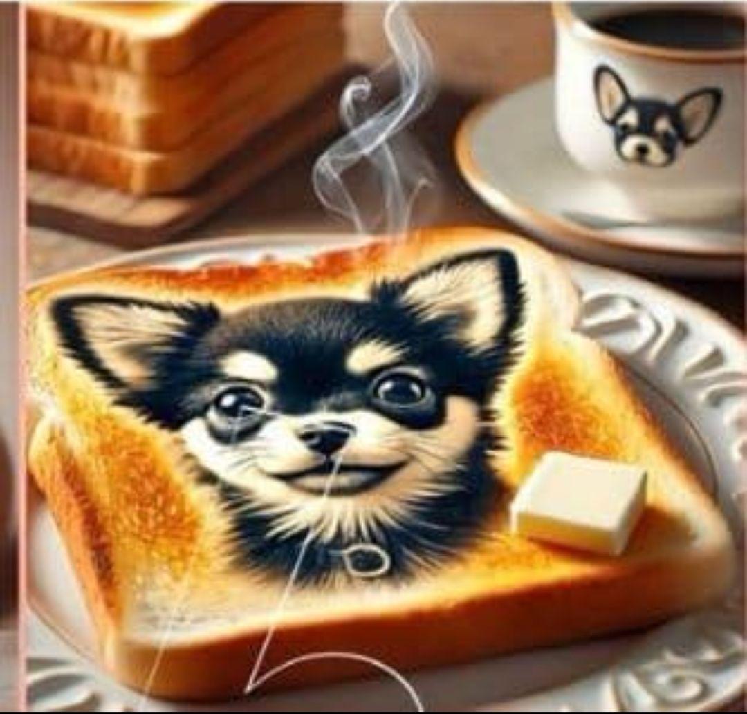 黒ねこ様ご確認用