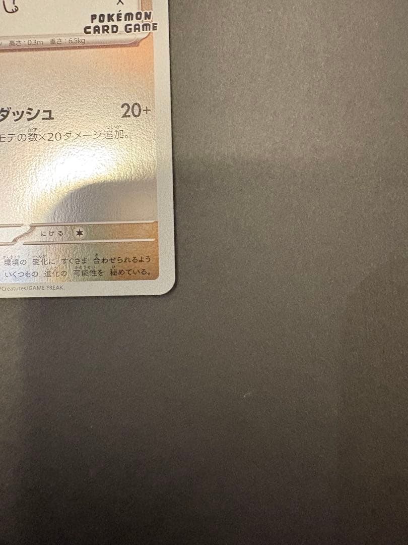 ポケモンカード　イーブイ　長場雄　プロモ