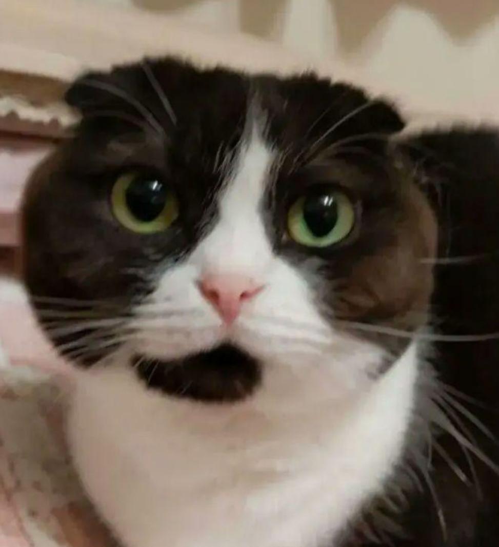 ちょびページです